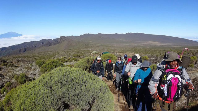 Climbers hiking across the moorland of Mount Kilimanjaro